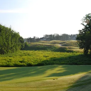 Hole #11  (par 3 over wetlands)