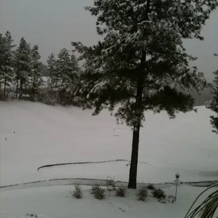 Snow on the golf course behind the house. We got a few inches of snow last night. White Christmas in North Carolina!
