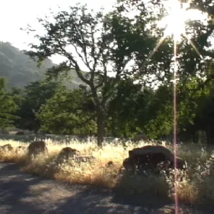 Beautiful afternoon in Verdugo Oaks.