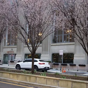 Entrance/ street parking