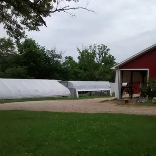 Hoop houses and packing shed.