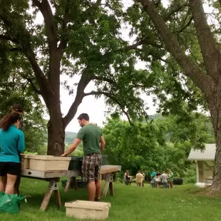 Pesto making on the farm.