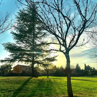 Taken on iphone 12 pro max