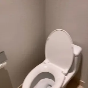 Birtroom