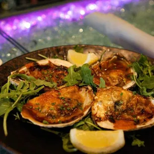 a plate of oysters