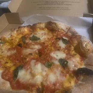 Margherita Pizza