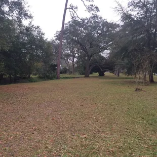 Lots of room to run or play.