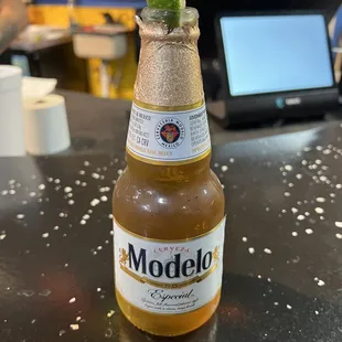 a bottle of modelo