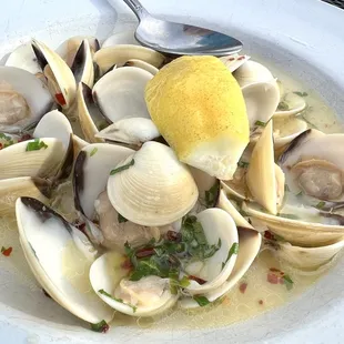 1 lb clams