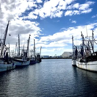 Shrimp boats
