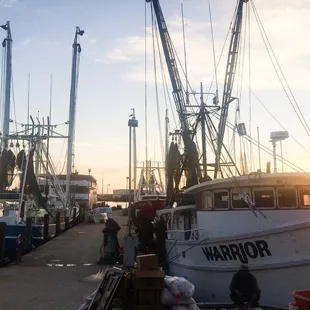 couple boats just came back from their month long trip to Key West which is where they do all their shrimping/catching