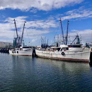 Shrimp boats