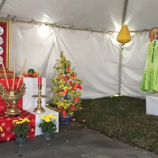 Not sure what this is...but it looked cool