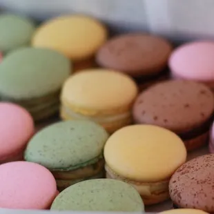 French macarons made in the store. Chocolate, Lemon, Raspberry, and Pistachio!