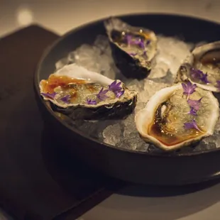 Sanctuary Oysters
