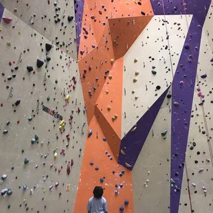 Tall walls with climbing variety