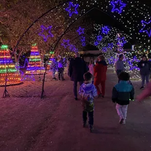a group of people walking through a field of lights