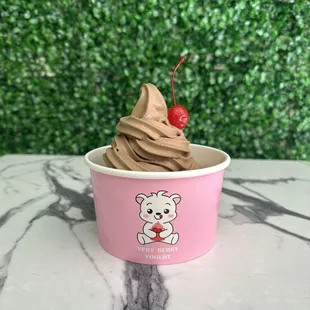 Chocolate frozen yogurt with cherry