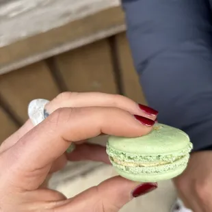 Pistachio macaron