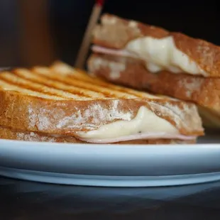 a grilled sandwich on a plate