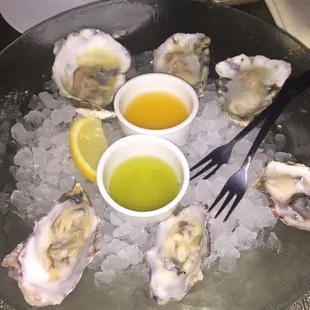 Oysters