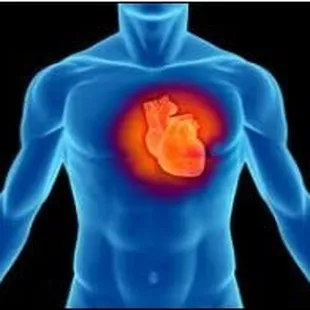 Whole-health Cardiology