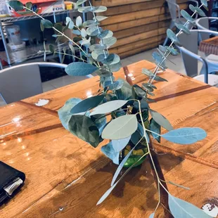 Fresh live plants on every table!