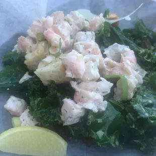 Shrimp Salad