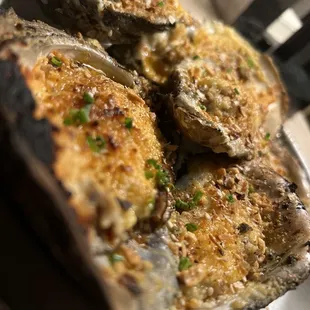 mussels, oysters, shellfish, oysters and mussels, food