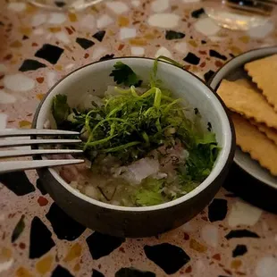 Cheviche, small but good?