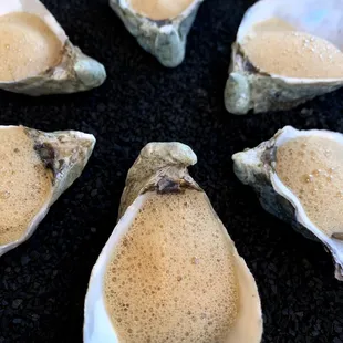 Warm Oysters Halibut