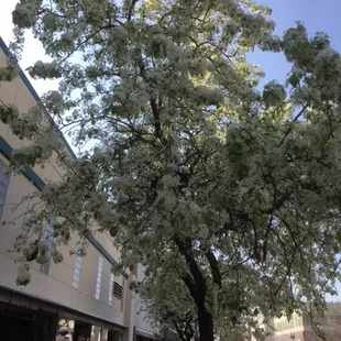 outside