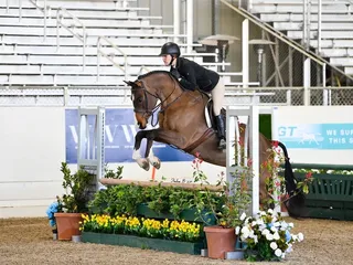 AF Training And Sales