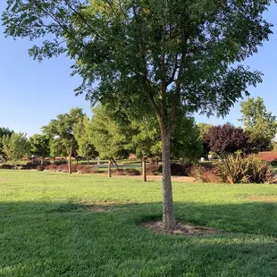 Well kept green lawns