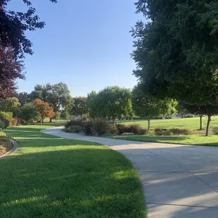 Nice shaded walking path