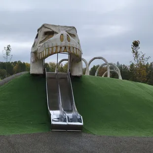 Dino slide