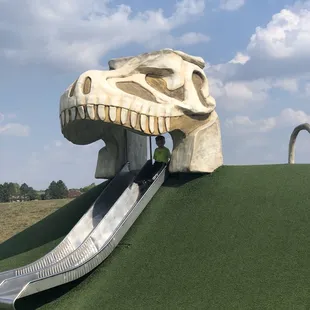 Dino - slide