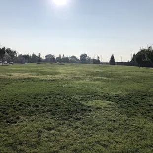 Open field, great for sports!
