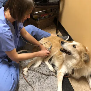 veterinary wellness center