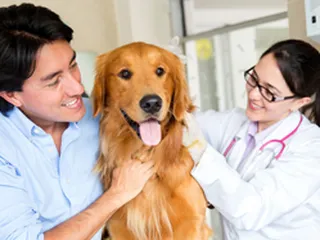 Clark County Veterinary Clinic