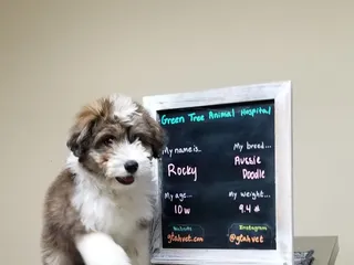 Greentree Animal Hospital