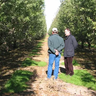 two men standing in an orchard