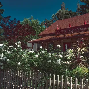 Vezer Tasting Room