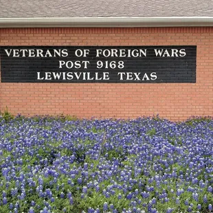 VFW Post 9168 with a bed of Blue Bonnets