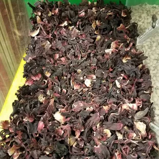 Hibiscus...