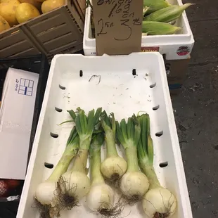 Strawberry sweet onion, a first for me