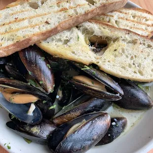 shellfish, mussels, oysters and mussels, food, oysters