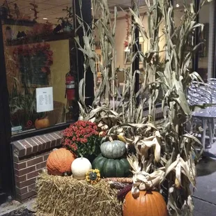 a display of pumpkins and corn