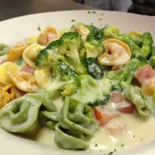 food, pasta, pasta dish