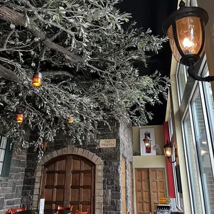 a restaurant with tables and chairs under a tree